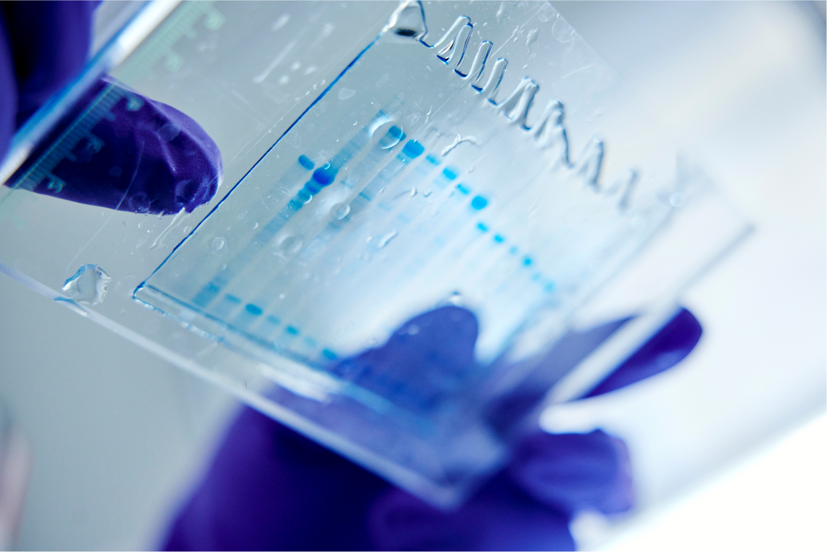 Fabric Nano solving micro plastics
